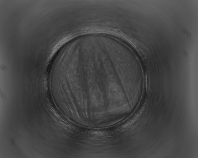 X0000090491501200708031135