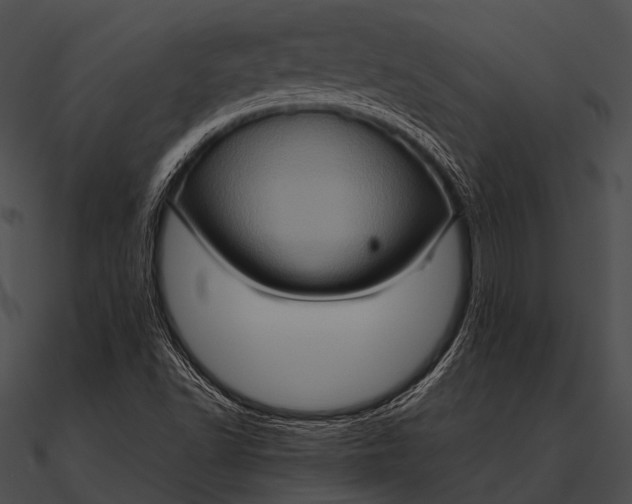 X0000090491502200708031135