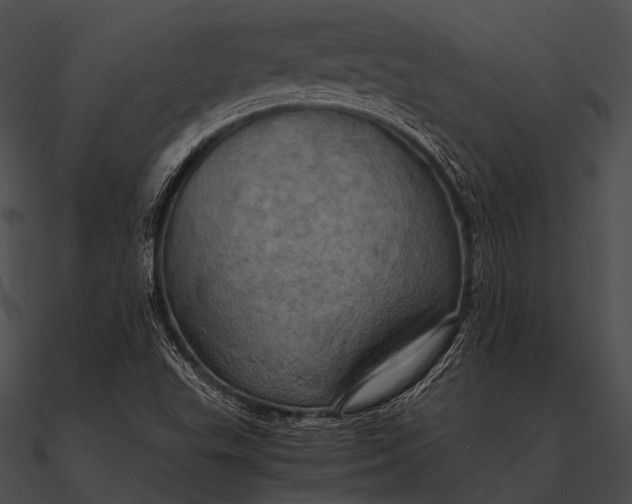 X0000090491503200708031135