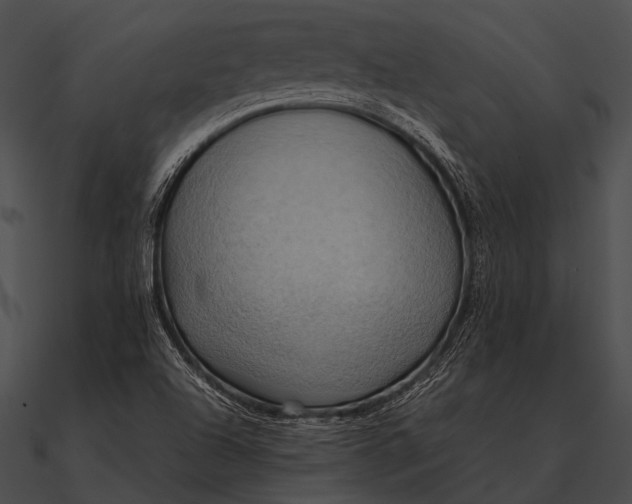 X0000090491504200708031135