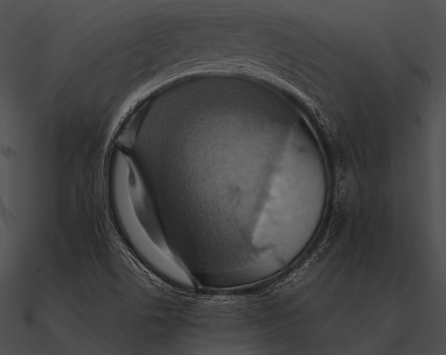 X0000090491506200708031135