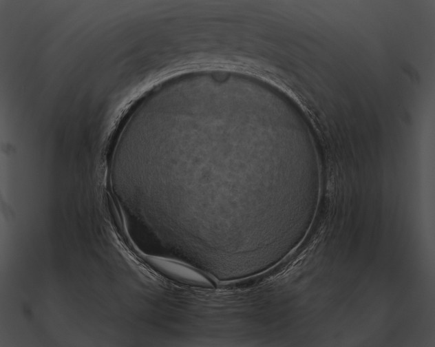 X0000090491507200708031135