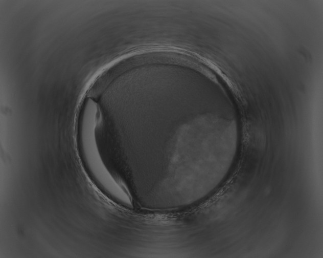 X0000090491508200708031135