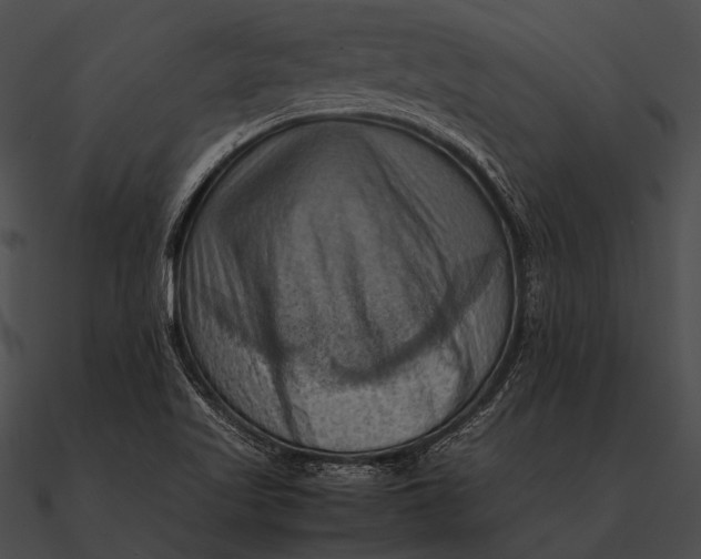 X0000090491509200708031135