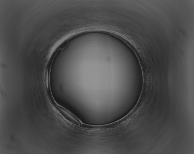 X0000090491510200708031135