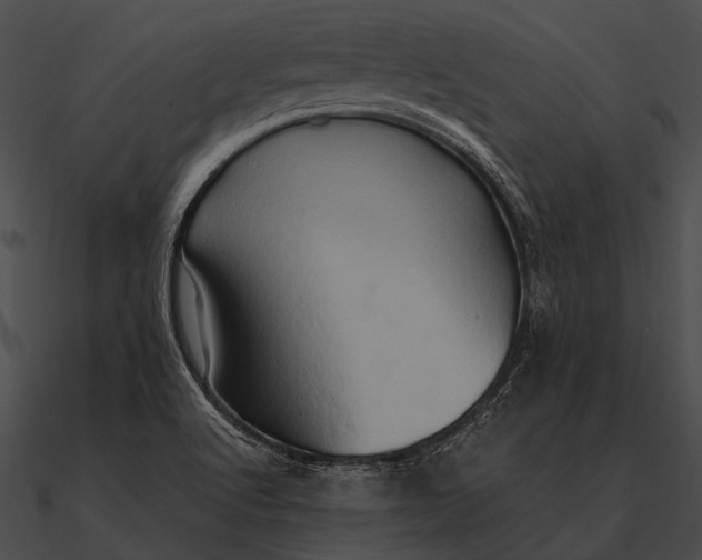 X0000090491512200708031135