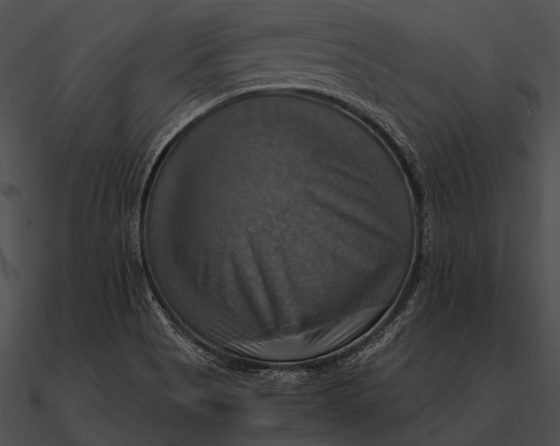 X0000090491513200708031135