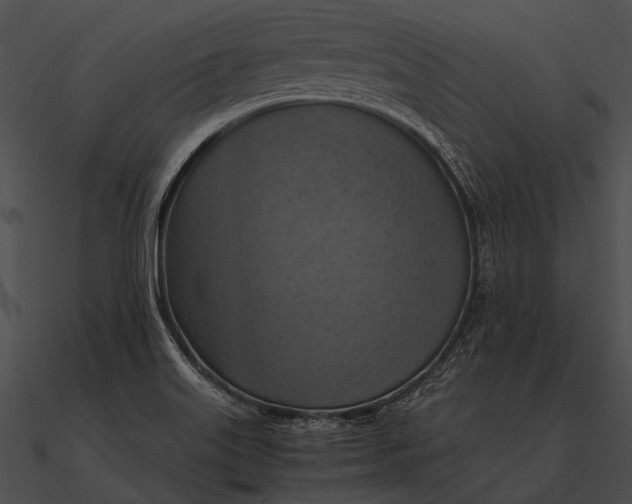 X0000090491515200708031135