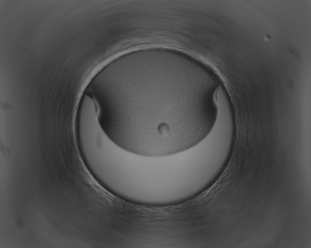 X0000090491516200708031135