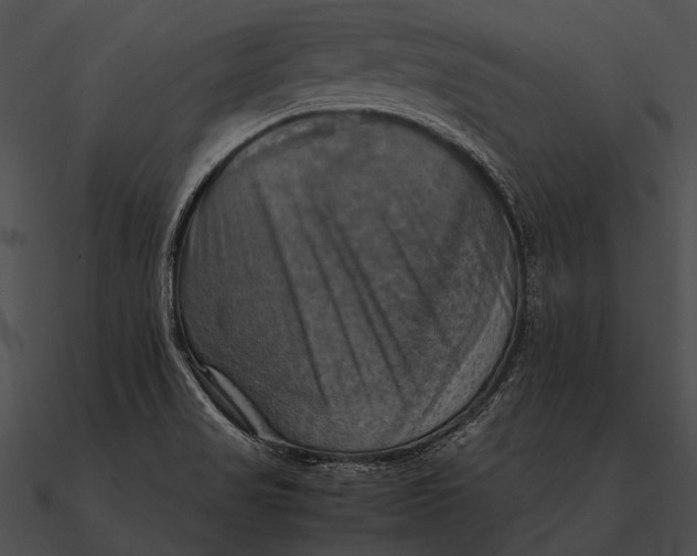 X0000090491517200708031135