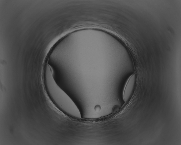X0000090491518200708031135