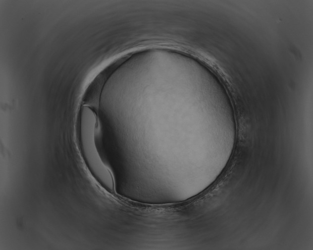 X0000090491520200708031135