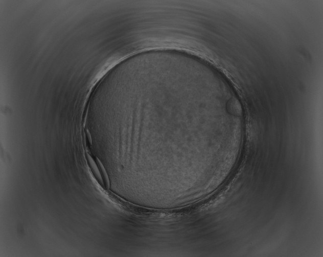 X0000090491521200708031135