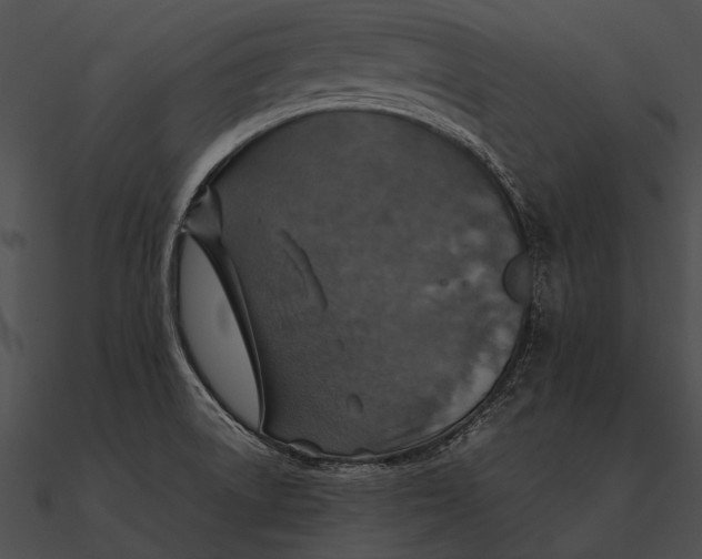 X0000090491522200708031135