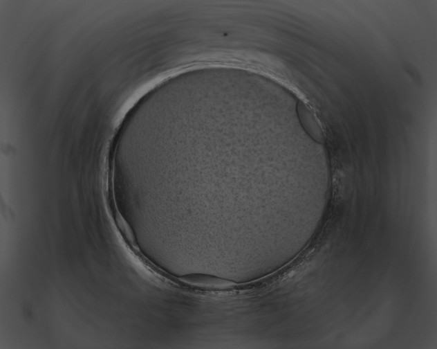 X0000090491523200708031135