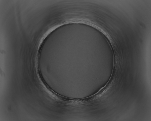 X0000090491525200708031135
