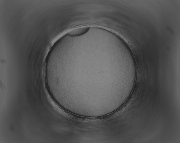 X0000090491526200708031135