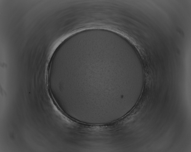 X0000090491527200708031135
