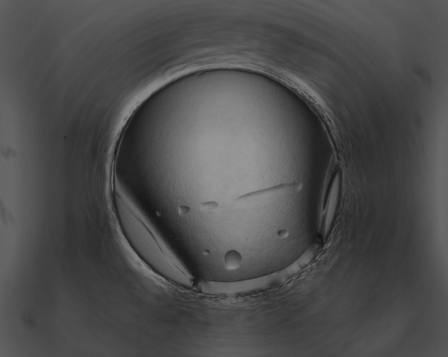 X0000090491528200708031135