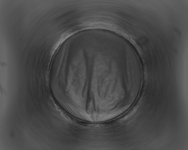 X0000090491529200708031135