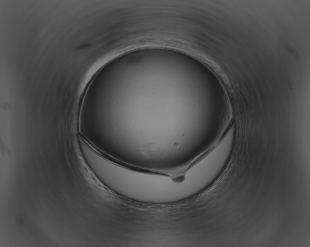 X0000090491530200708031135