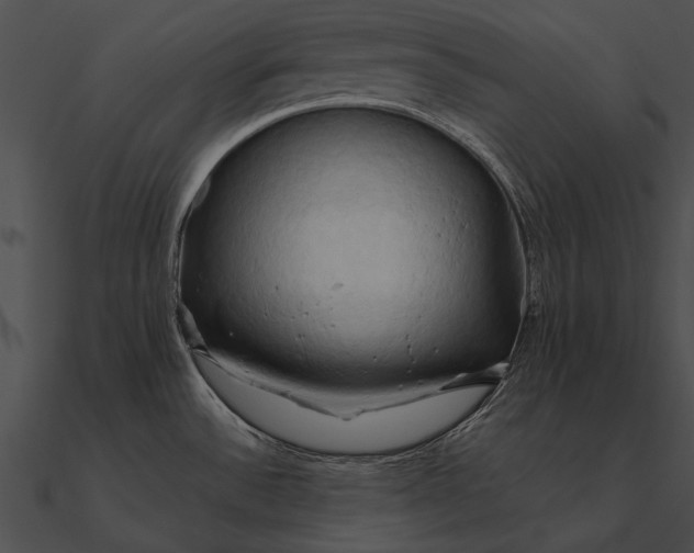 X0000090491532200708031135