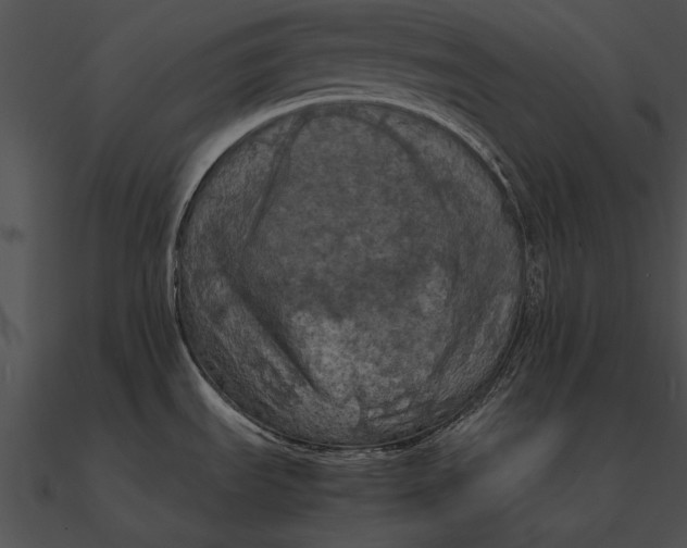 X0000090491535200708031135