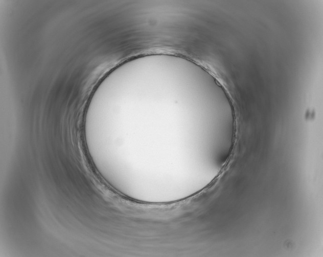 X0000090490001200708102229