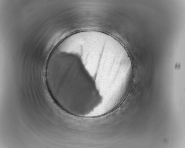 X0000090490002200708102229