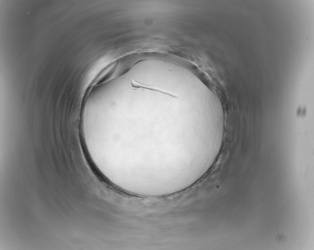 X0000090490003200708102229