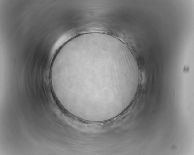 X0000090490004200708102229