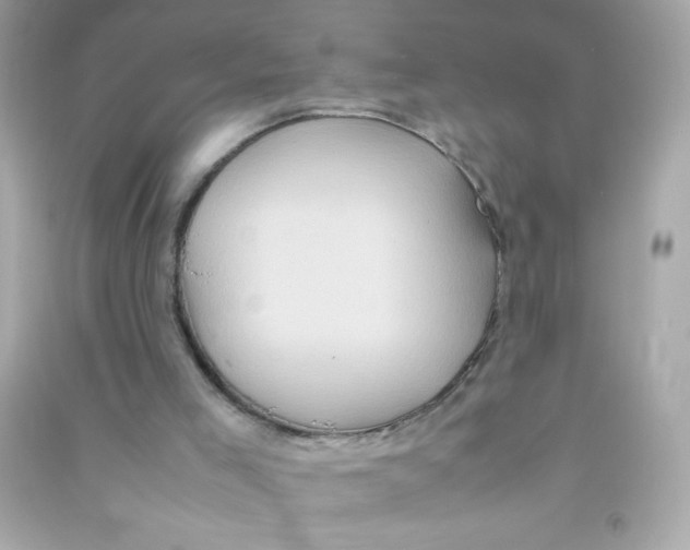 X0000090490005200708102229