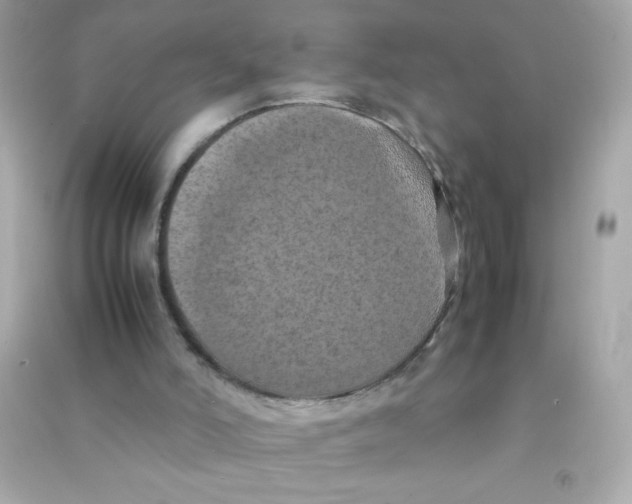 X0000090490006200708102229