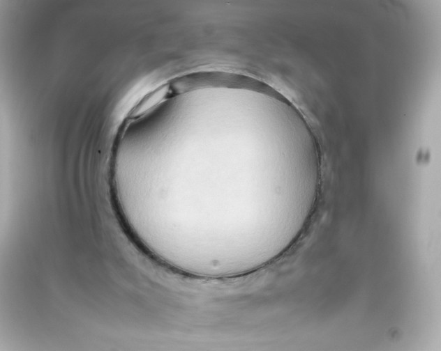 X0000090490007200708102229