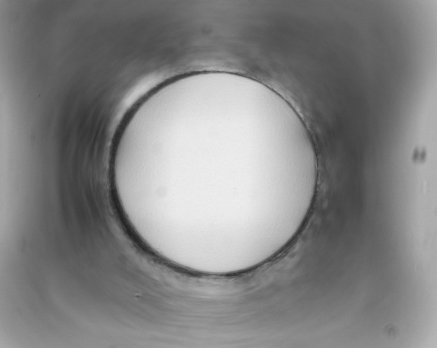 X0000090490008200708102229