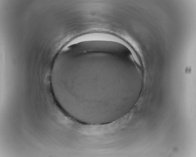 X0000090490009200708102229