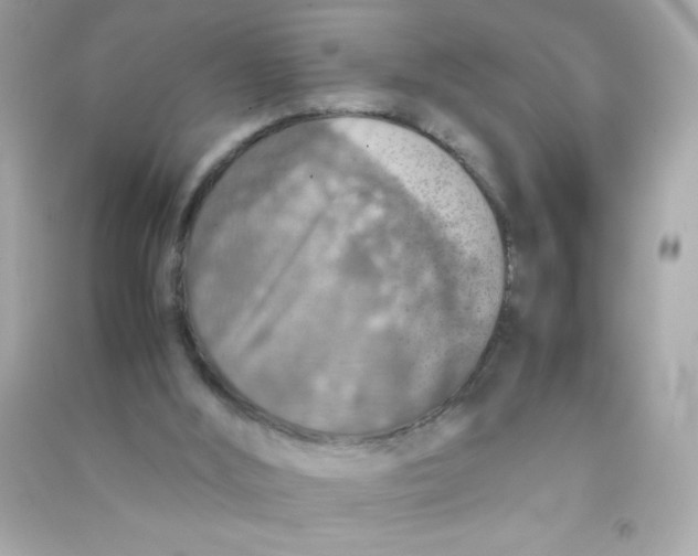 X0000090490012200708102229