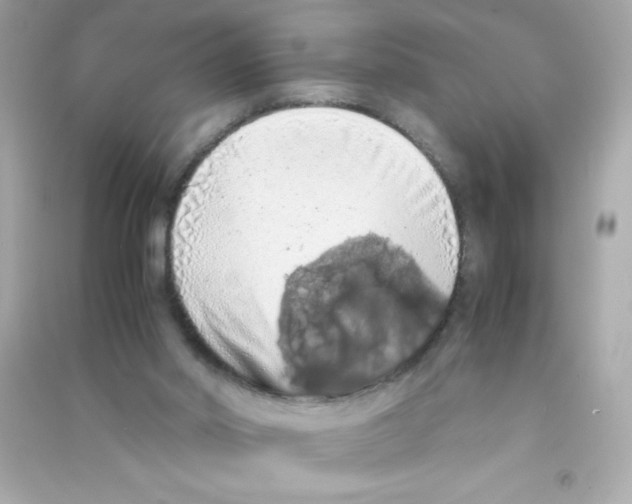 X0000090490014200708102229