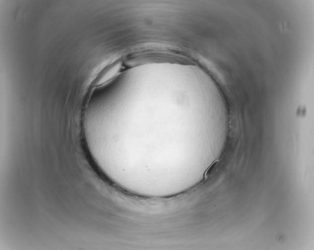 X0000090490015200708102229