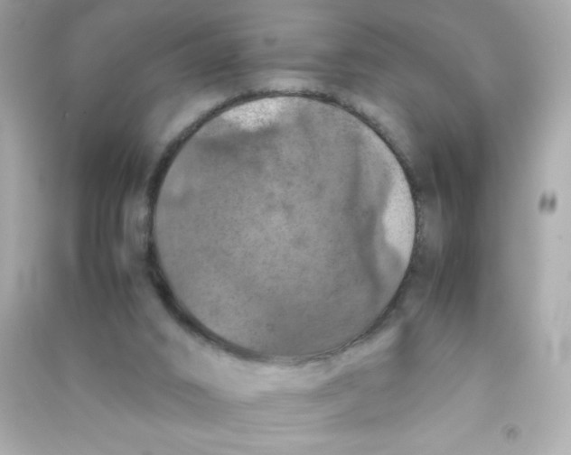 X0000090490016200708102229