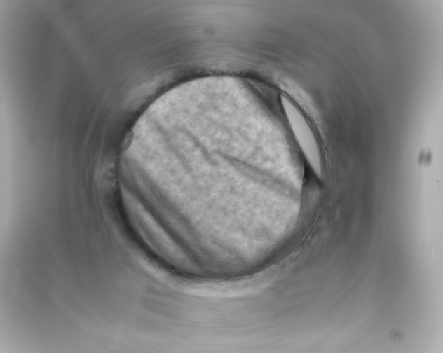 X0000090490017200708102229