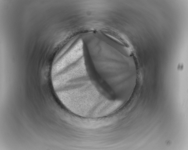 X0000090490018200708102229