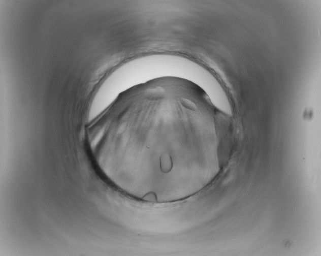 X0000090490019200708102229