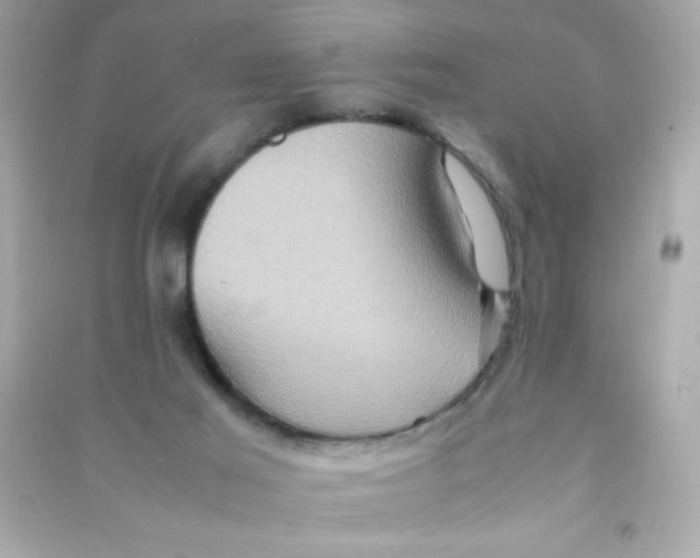 X0000090490021200708102229