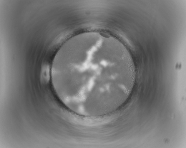 X0000090490022200708102229