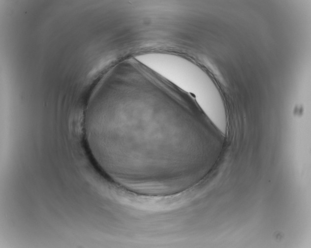 X0000090490023200708102229