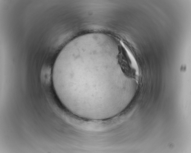 X0000090490024200708102229