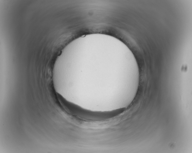 X0000090490025200708102229