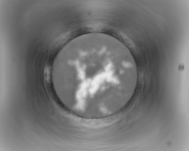 X0000090490026200708102228