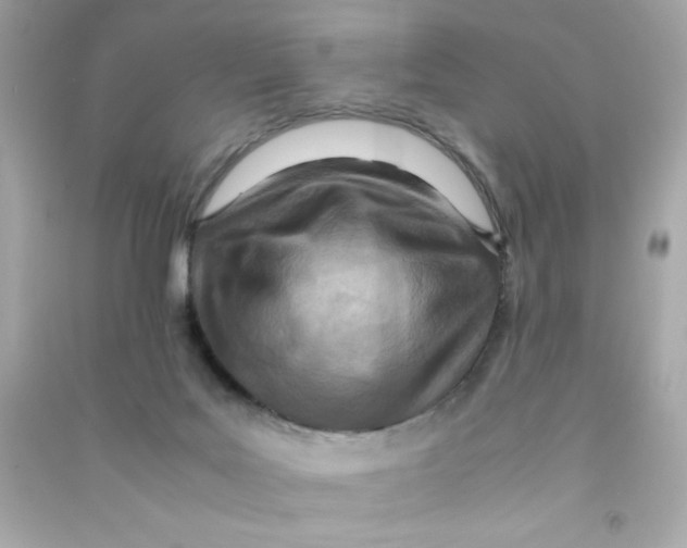 X0000090490027200708102228